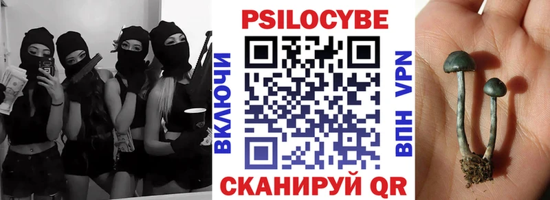 закладка  Крым  Псилоцибиновые грибы MAGIC MUSHROOMS 